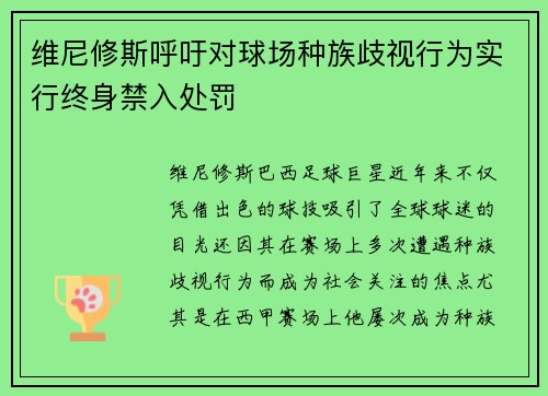 维尼修斯呼吁对球场种族歧视行为实行终身禁入处罚