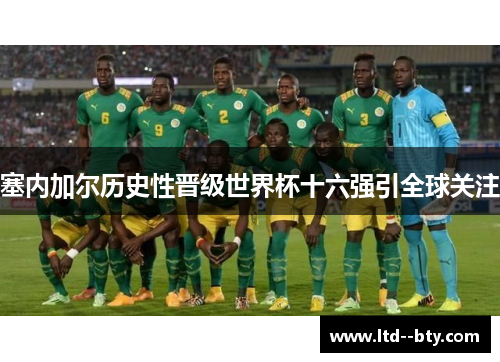 塞内加尔历史性晋级世界杯十六强引全球关注