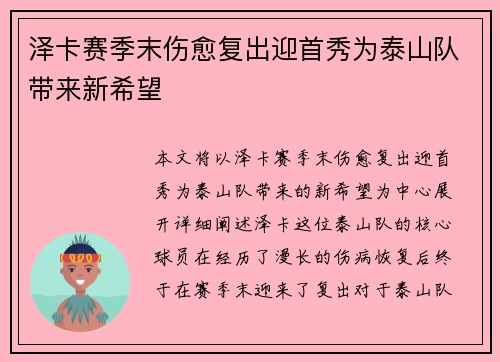 泽卡赛季末伤愈复出迎首秀为泰山队带来新希望 泽卡赛季末伤愈复出迎首秀为泰山队带来新希望